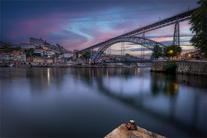 Oporto Blue Hour