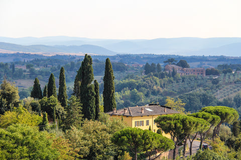 Who's Up for a Glass of Chianti? Tuscany, Italy